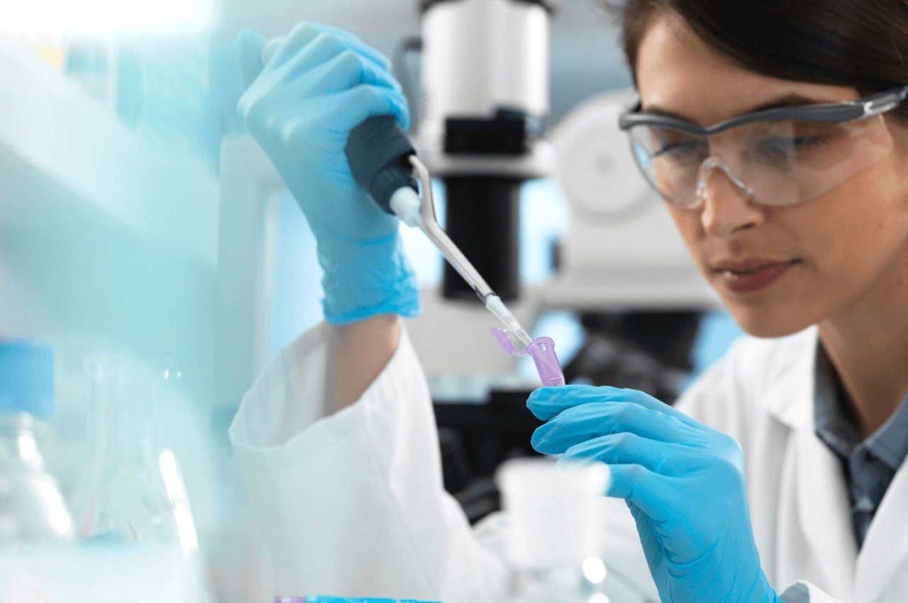 What Are the 5 Stages of Drug Development?