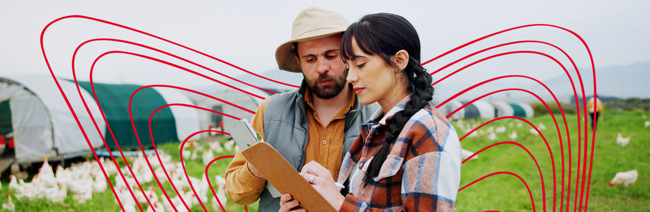 Man and woman looking over data on clipboard in field with chickens and tents.