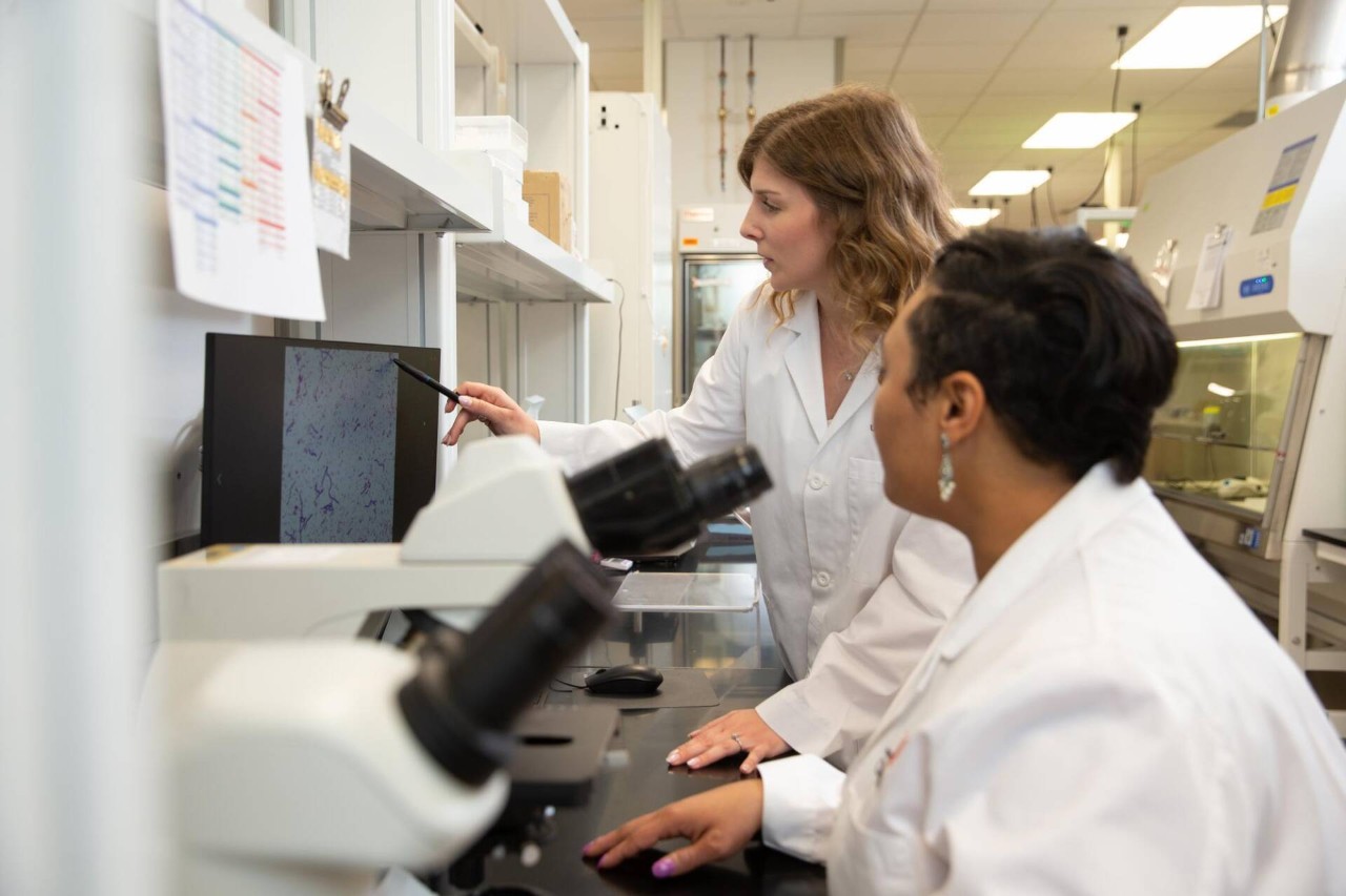 Models pose in various lab settings to promote UC Online  Master’s in Medical Laboratory Science Leadership (MS-MLSL) program.