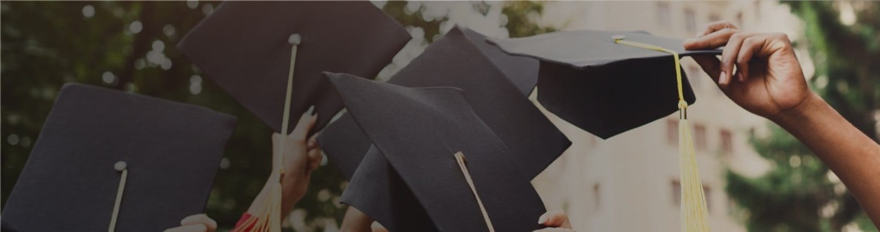 Application Guide for Business Partnership Employees